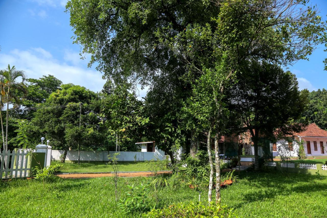 Akkara Homestay & Ayurveda Kottayam Exteriér fotografie